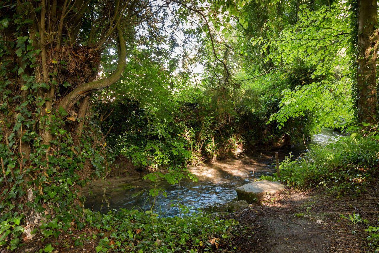 La Pomme Petillante Maisnieres ภายนอก รูปภาพ